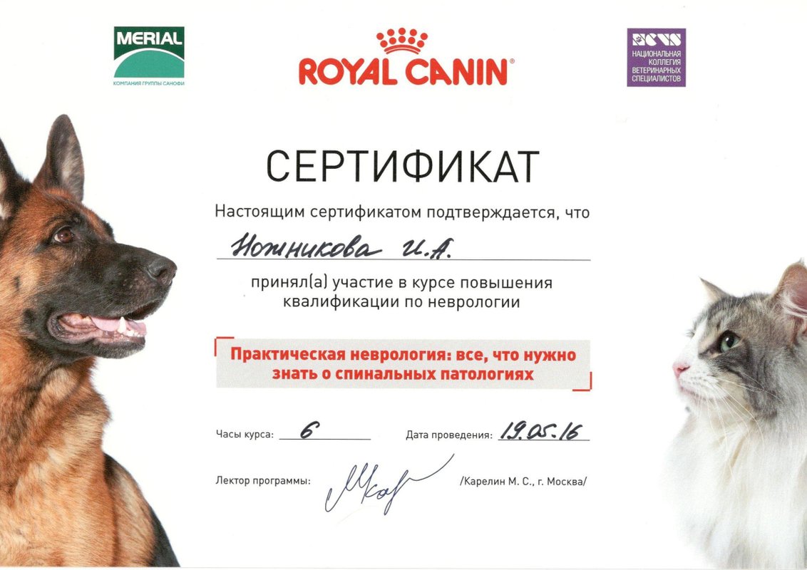 Документ или сертификат