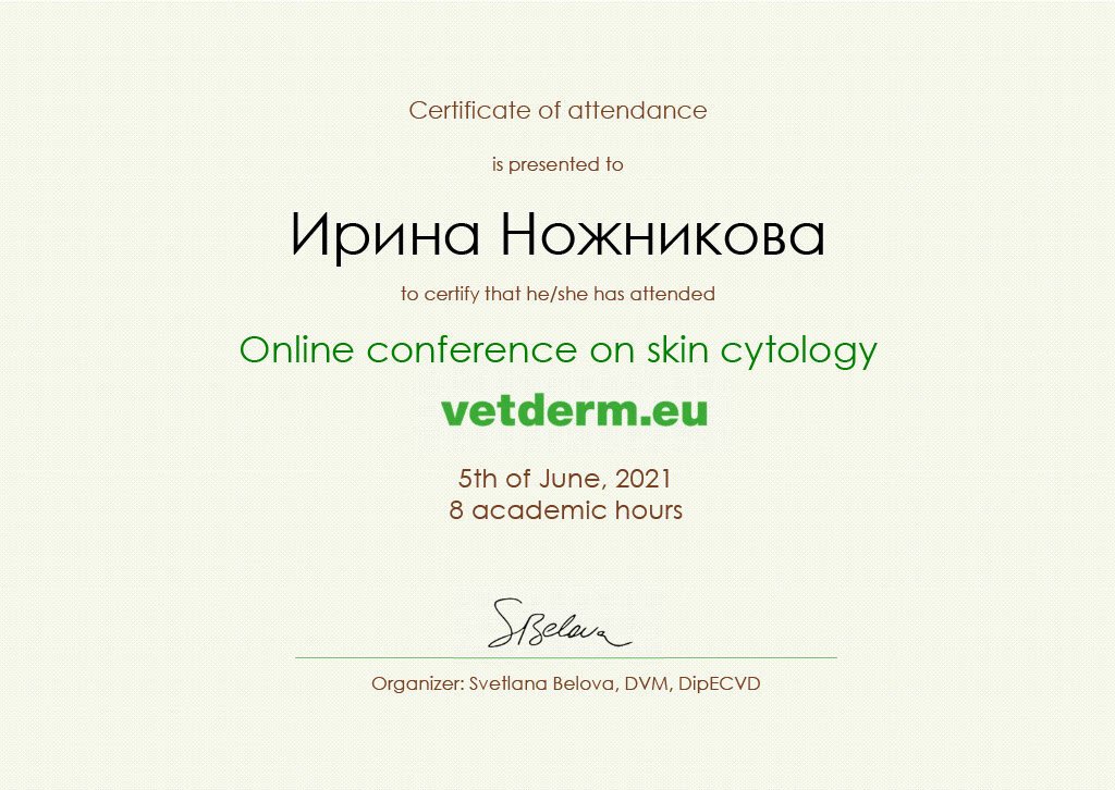 Документ или сертификат