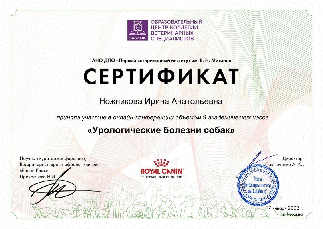 Документ или сертификат