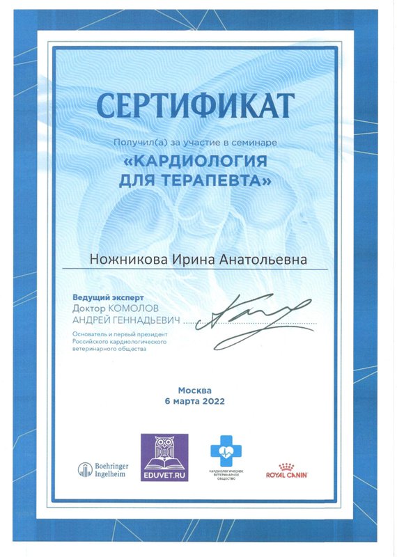 Документ или сертификат