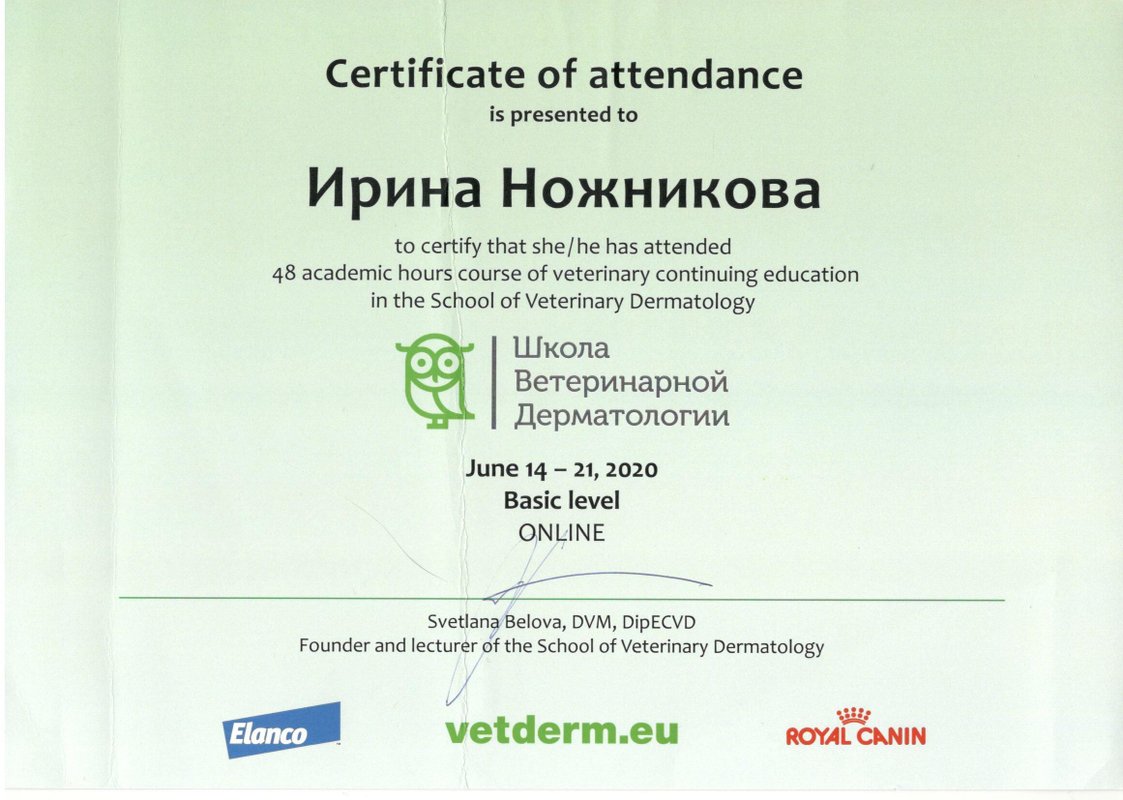Документ или сертификат