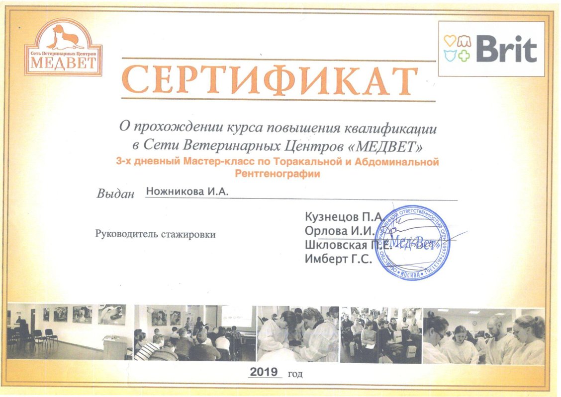Документ или сертификат