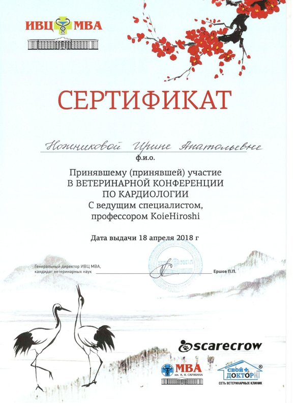 Документ или сертификат