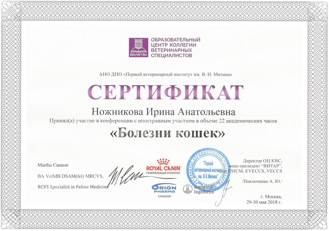 Документ или сертификат