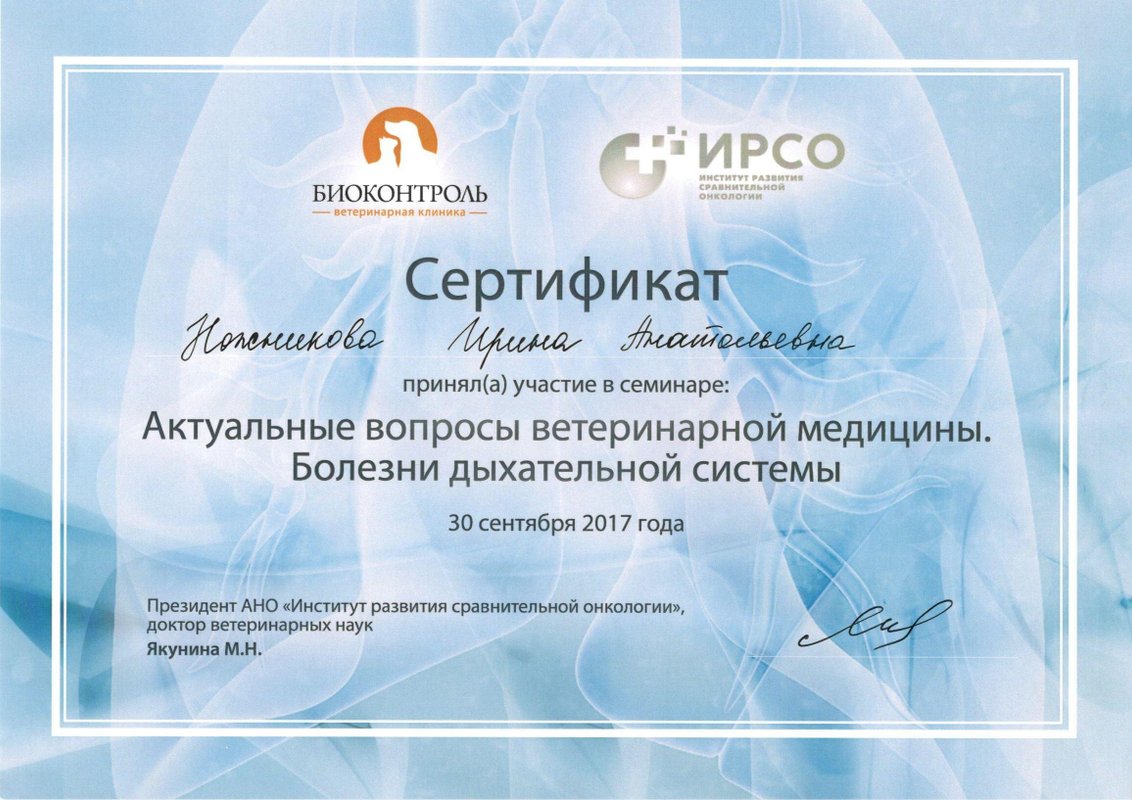 Документ или сертификат