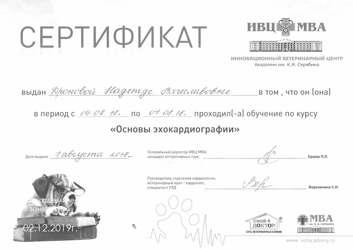 Документ или сертификат
