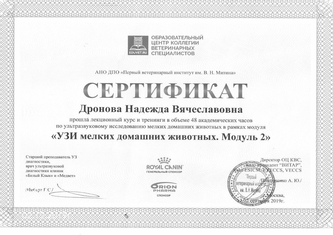 Документ или сертификат