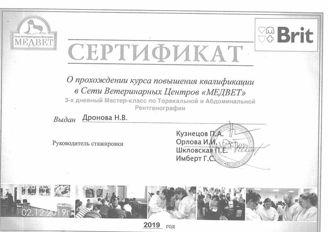 Документ или сертификат