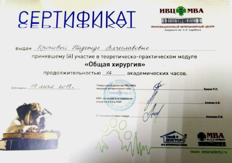 Документ или сертификат
