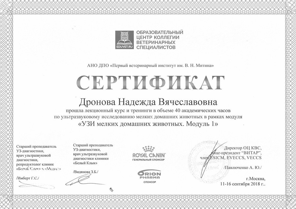 Документ или сертификат