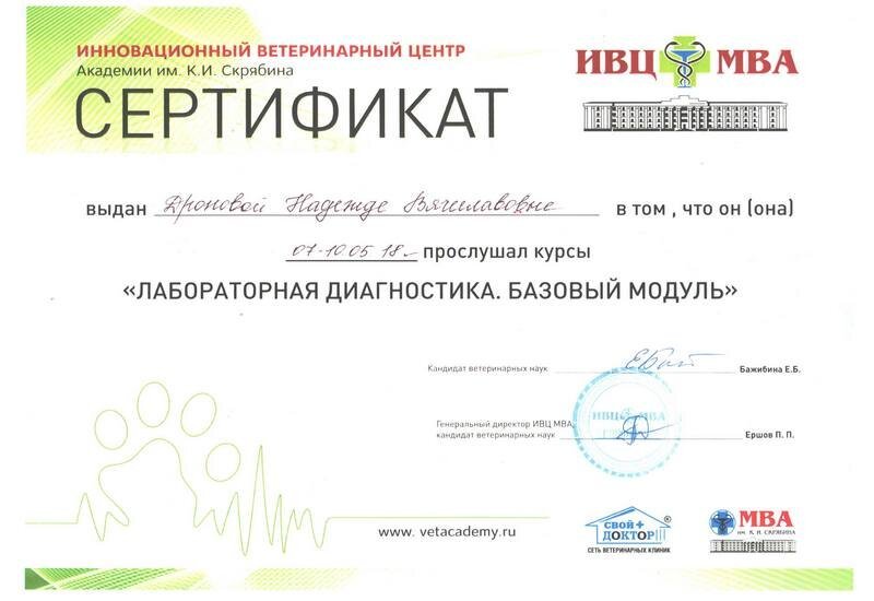 Документ или сертификат