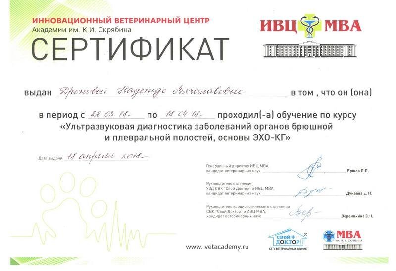 Документ или сертификат