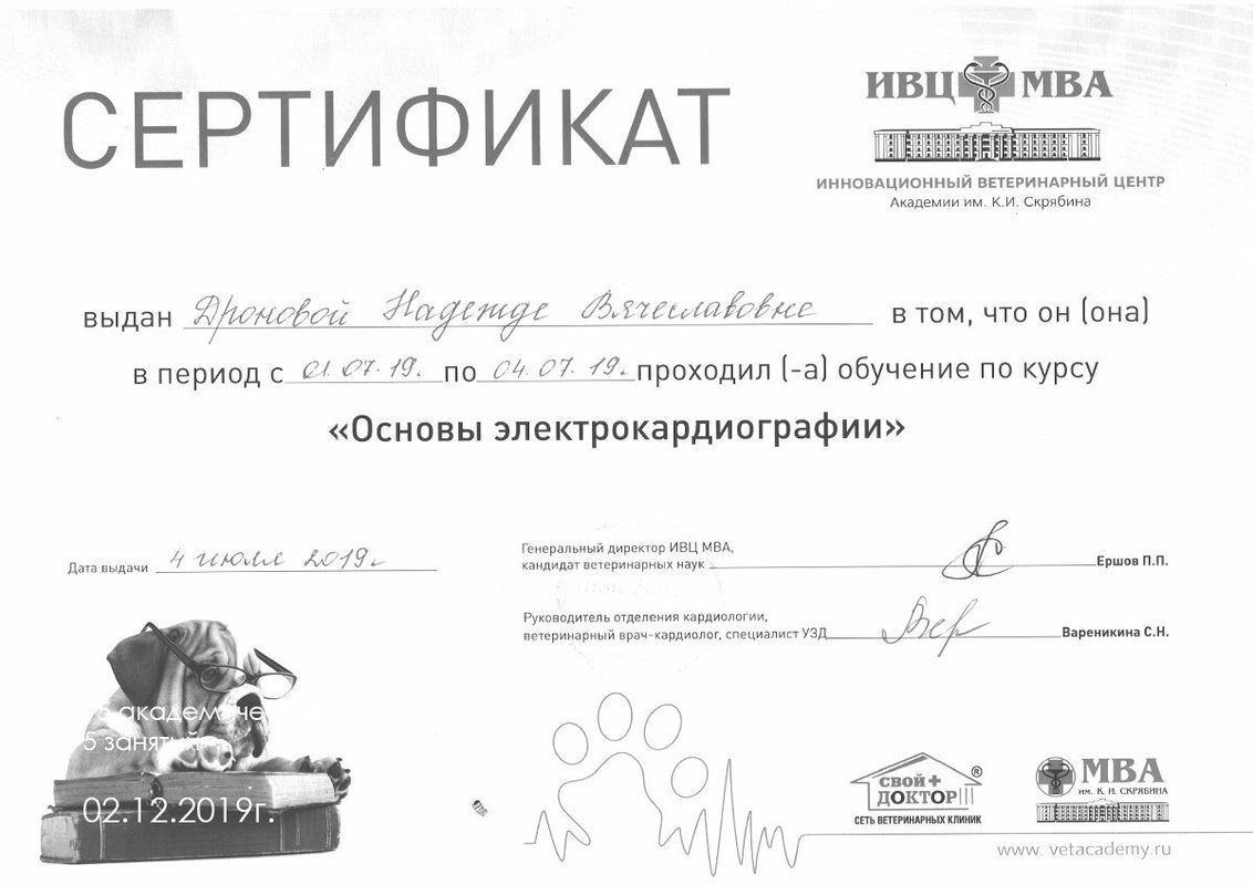 Документ или сертификат