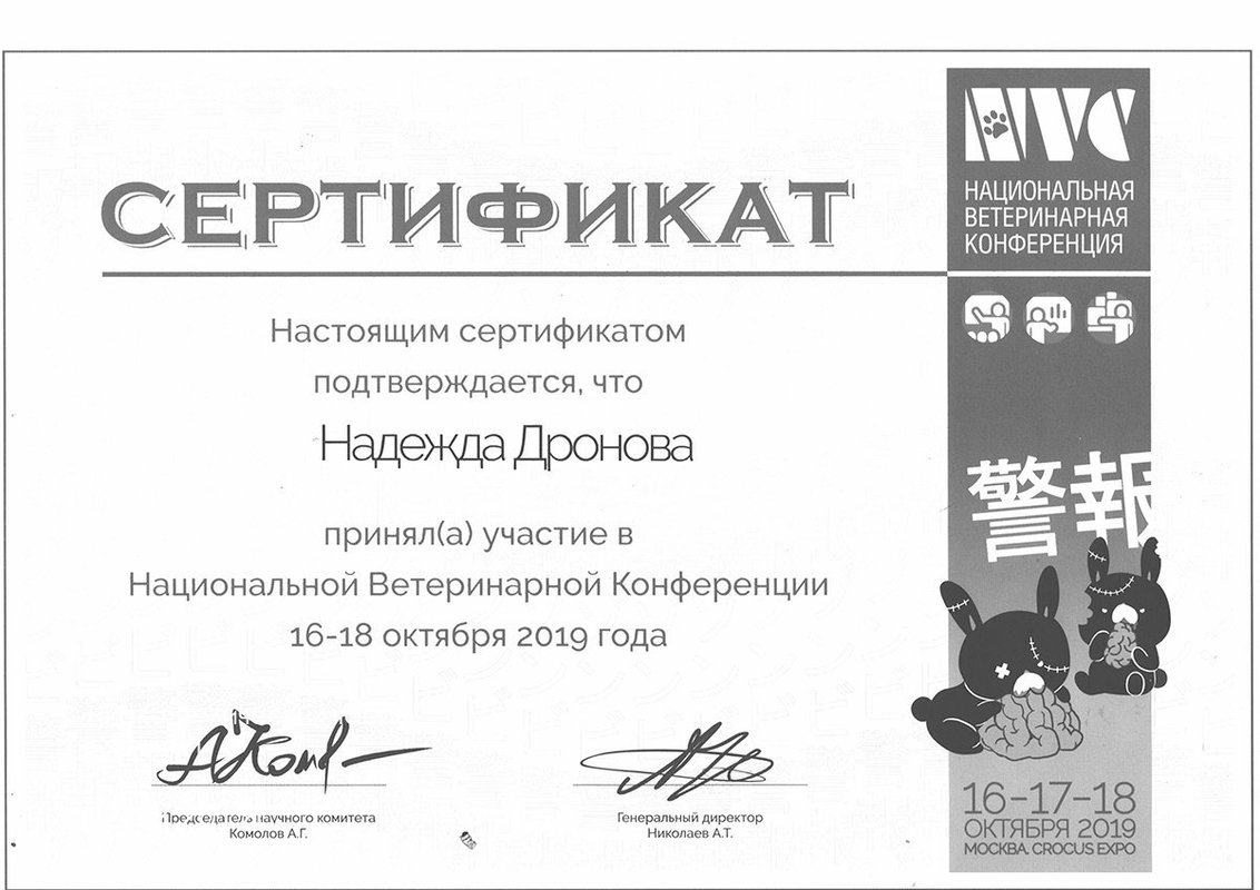 Документ или сертификат