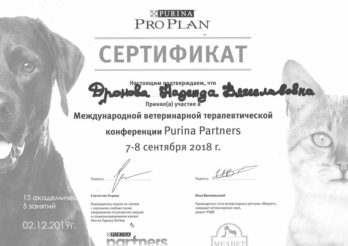 Документ или сертификат