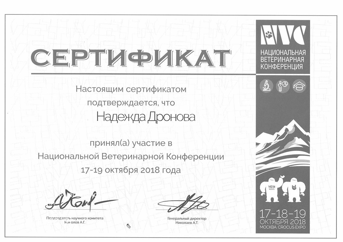 Документ или сертификат