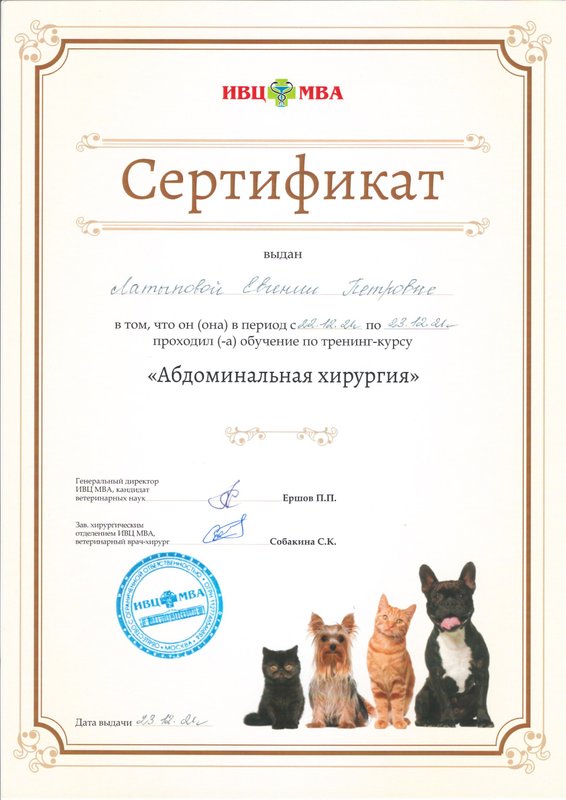 Документ или сертификат