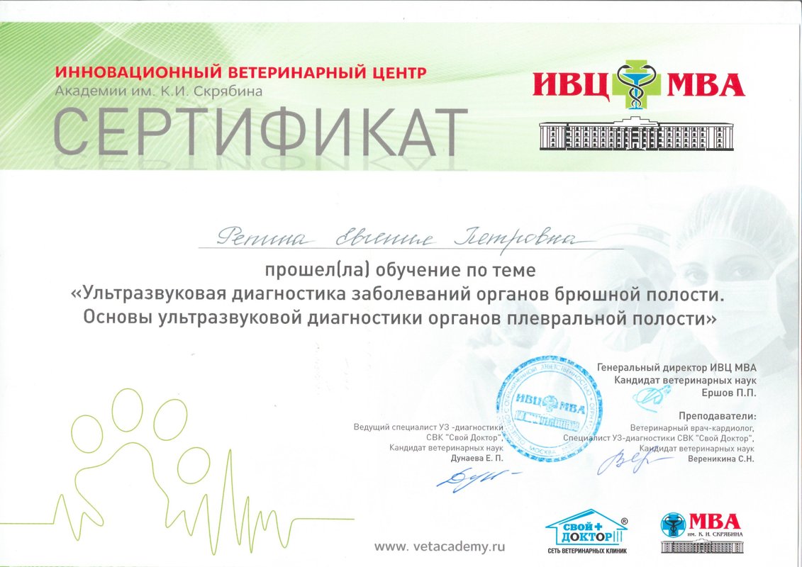 Документ или сертификат