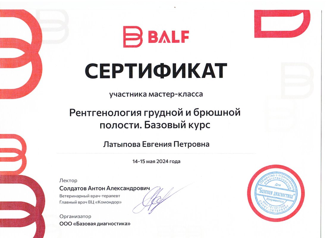 Документ или сертификат