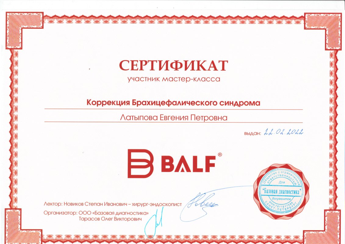 Документ или сертификат