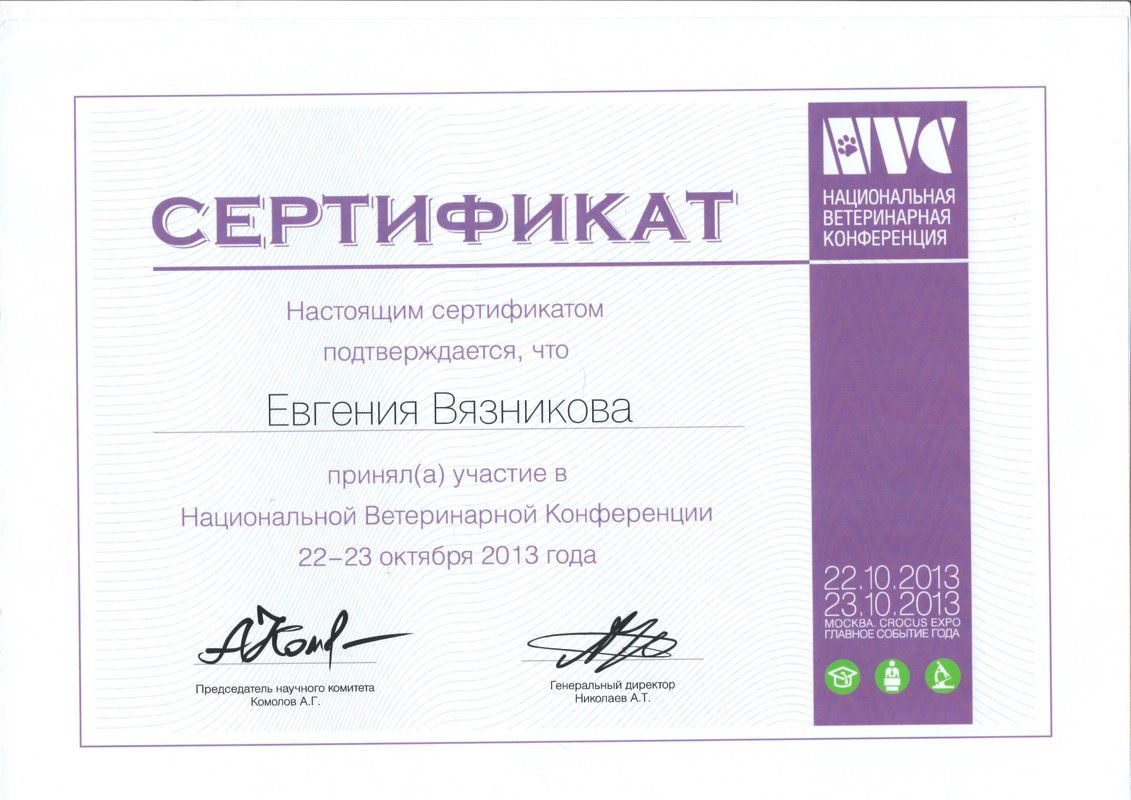 Документ или сертификат