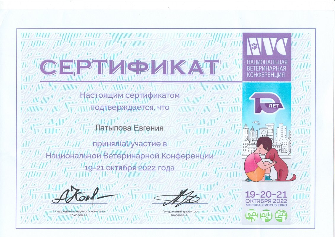 Документ или сертификат
