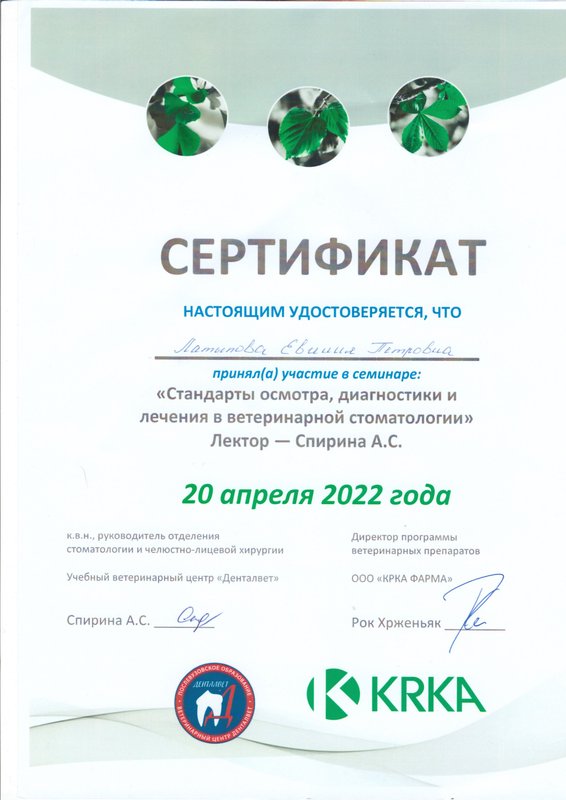 Документ или сертификат