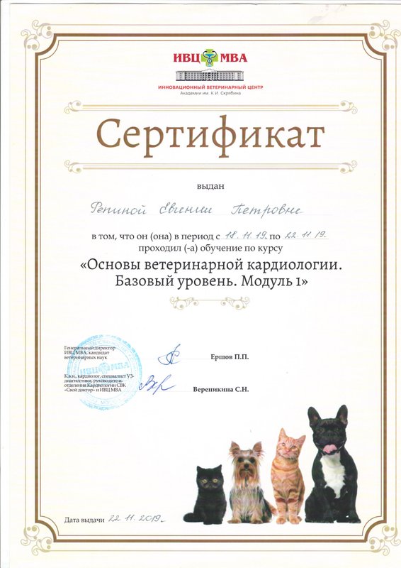 Документ или сертификат