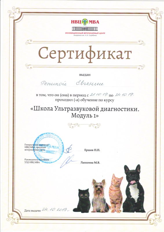 Документ или сертификат