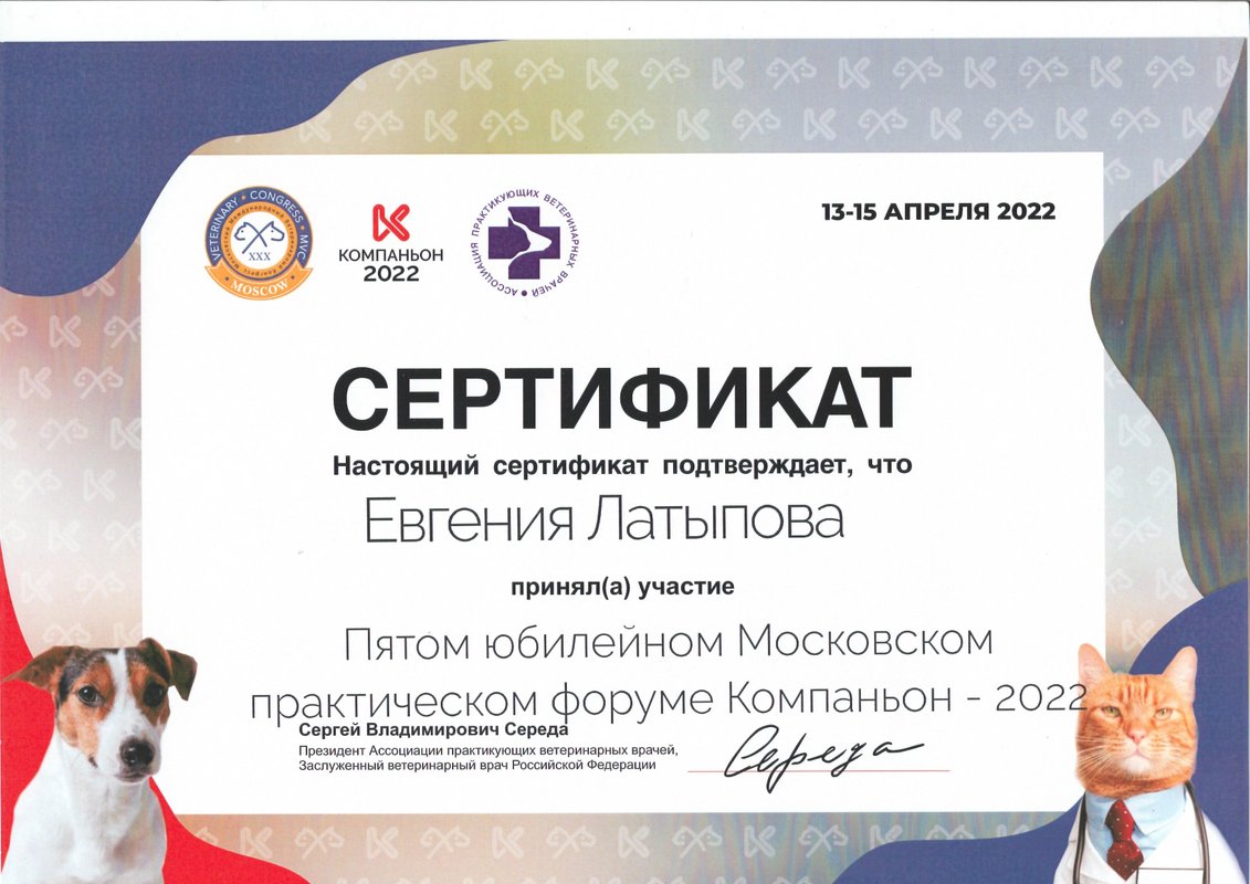 Документ или сертификат