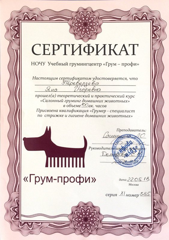 Документ или сертификат