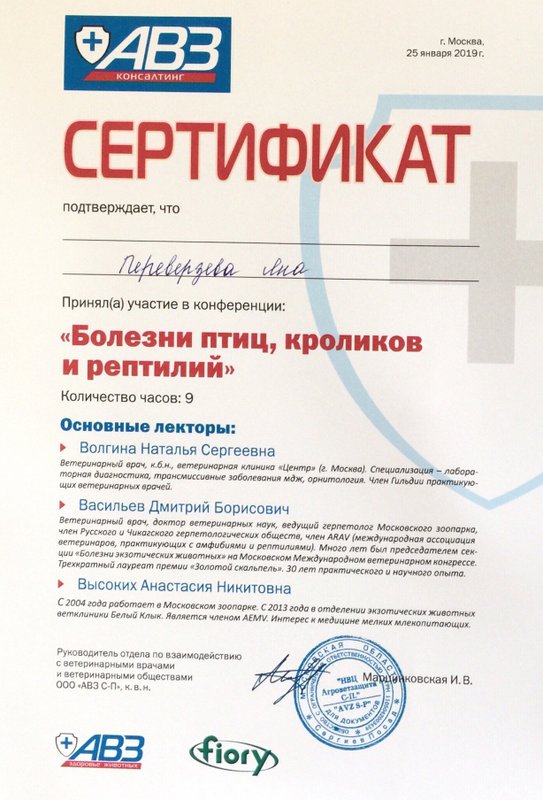 Документ или сертификат