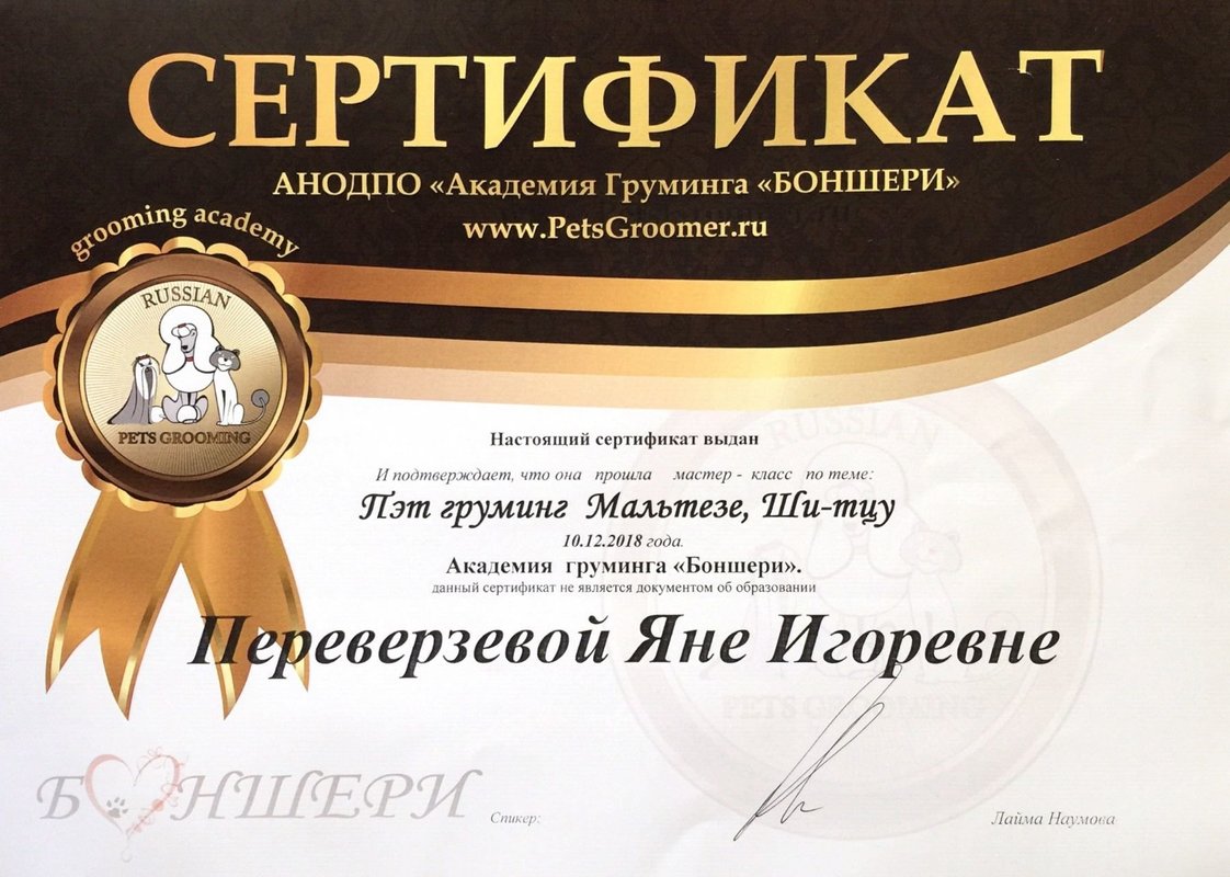 Документ или сертификат