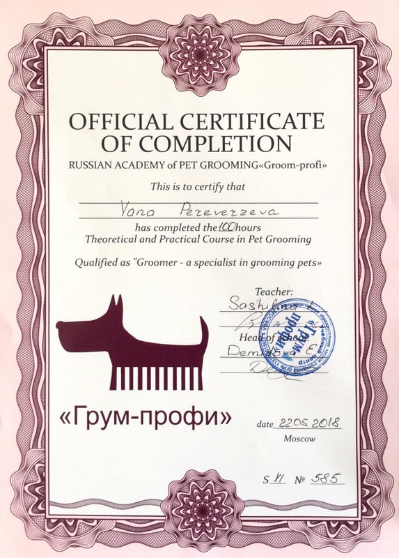 Документ или сертификат