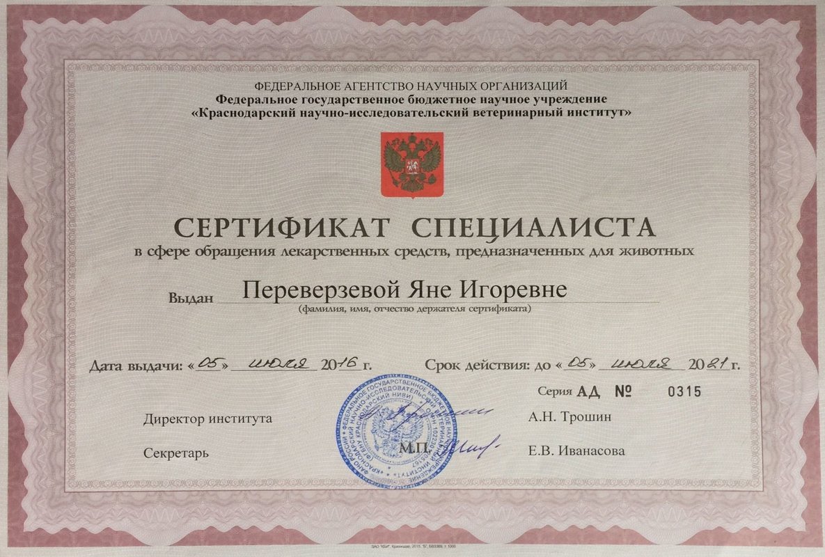 Документ или сертификат