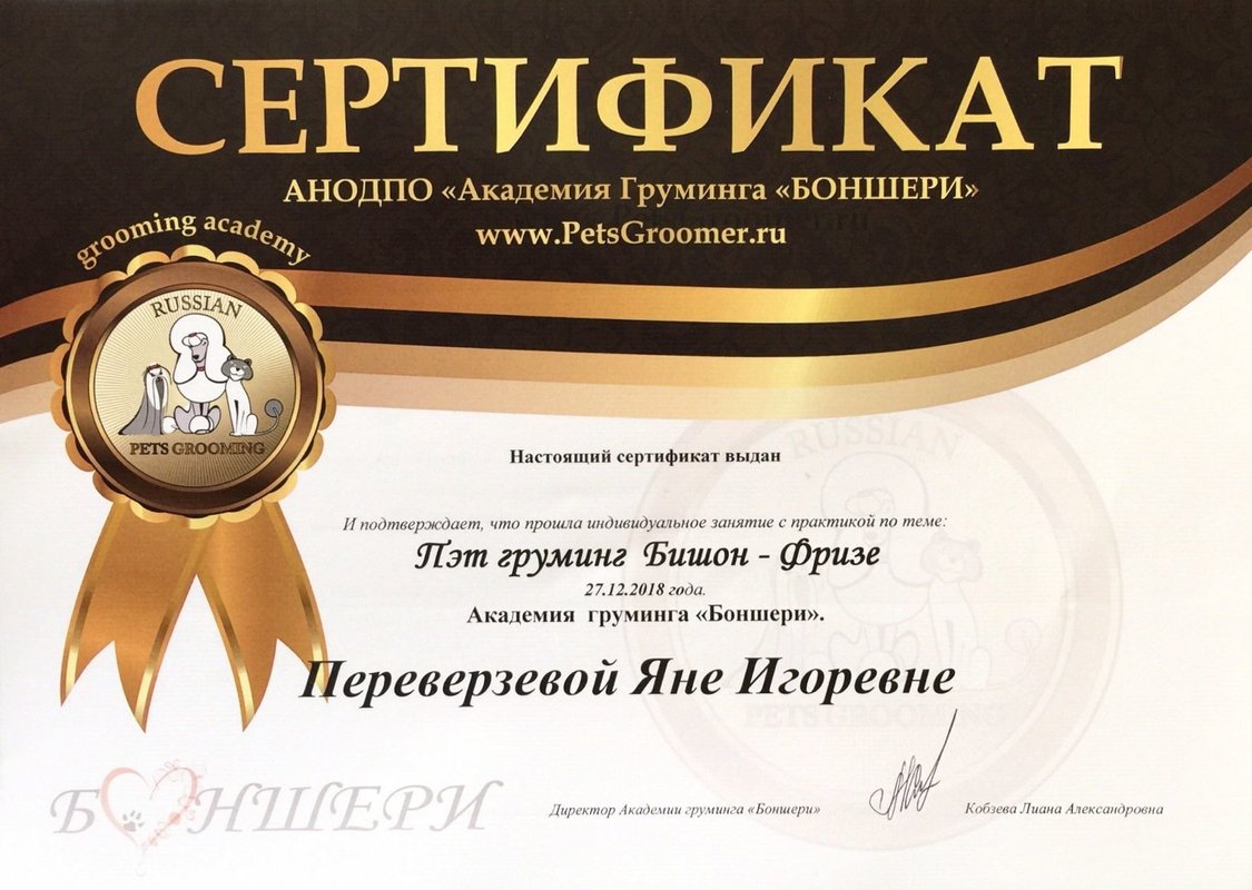 Документ или сертификат