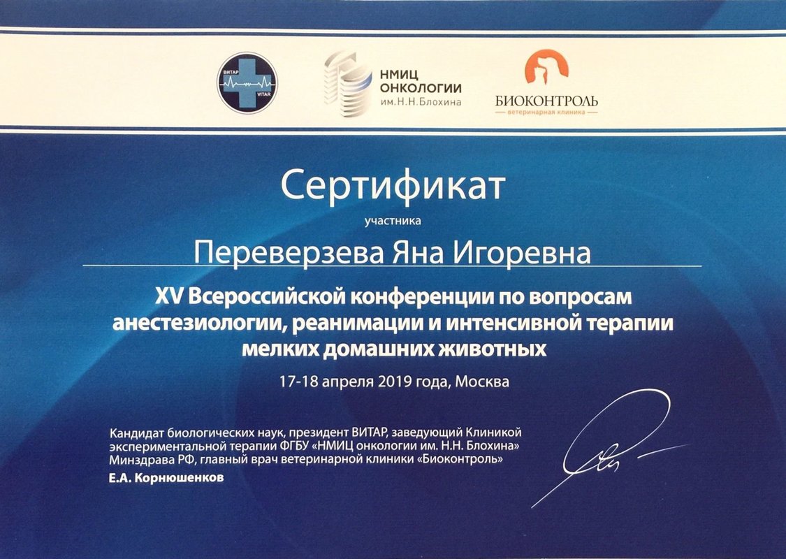 Документ или сертификат