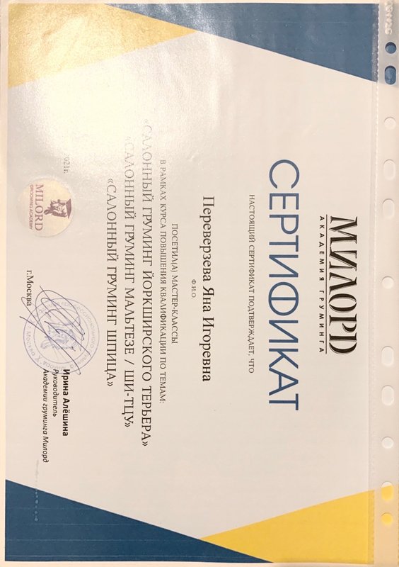 Документ или сертификат