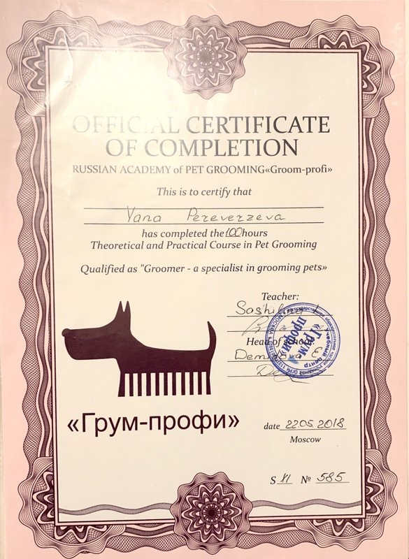 Документ или сертификат