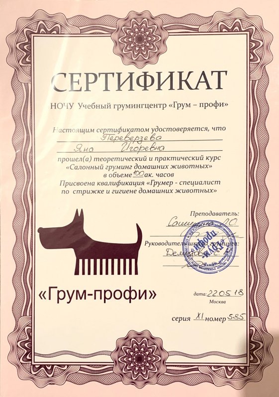 Документ или сертификат