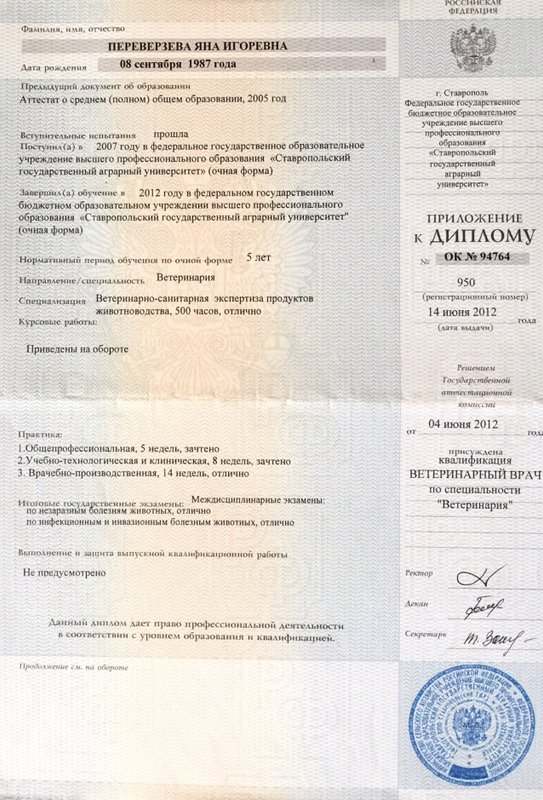 Документ или сертификат