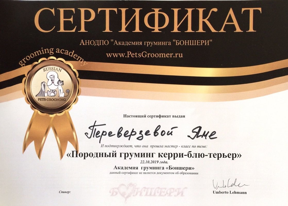 Документ или сертификат