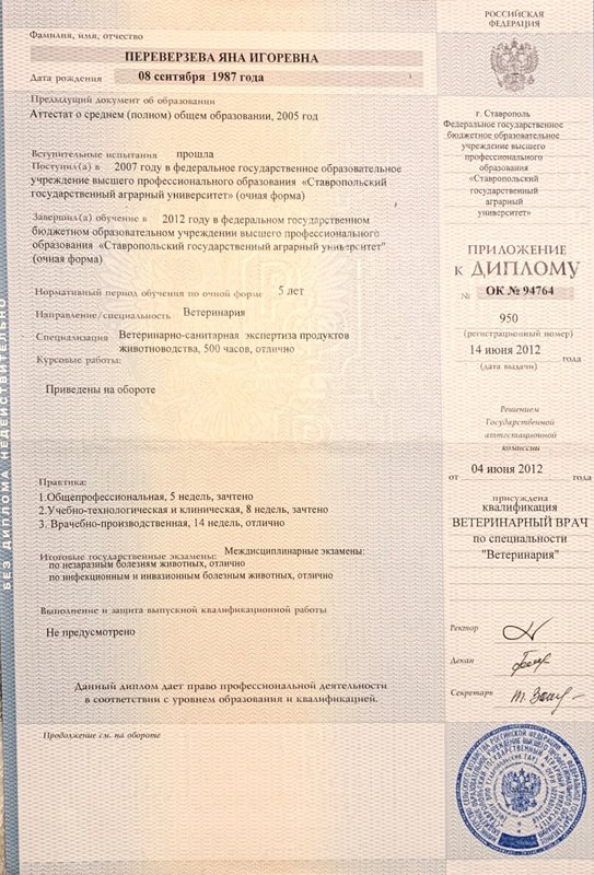 Документ или сертификат
