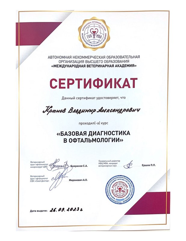 Документ или сертификат