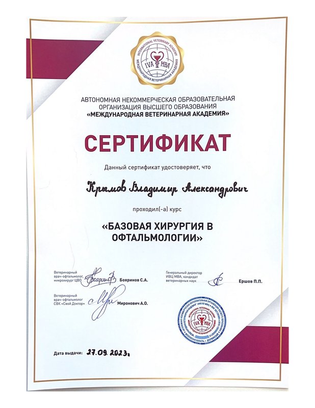 Документ или сертификат