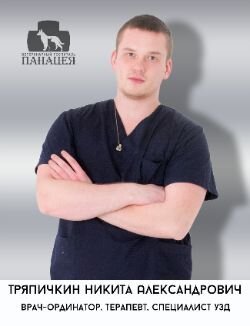 Фото врача Тряпичкин Никита Александрович
