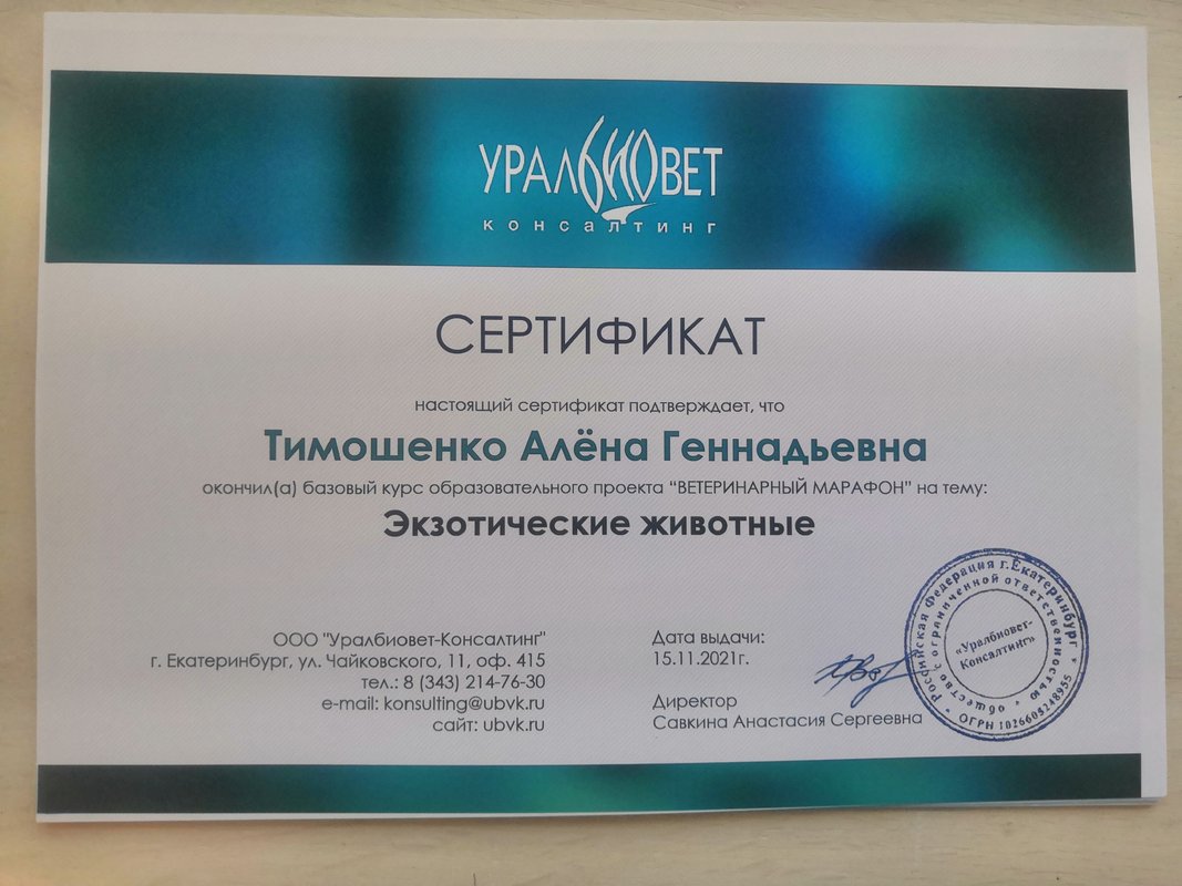 Документ или сертификат