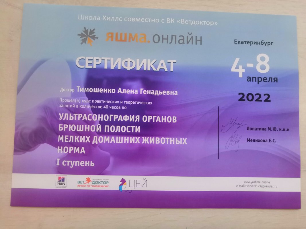 Документ или сертификат