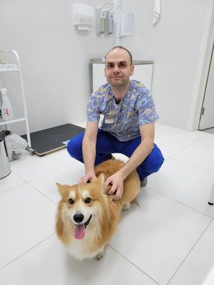 Фото врача Дорожкин Иван Александрович