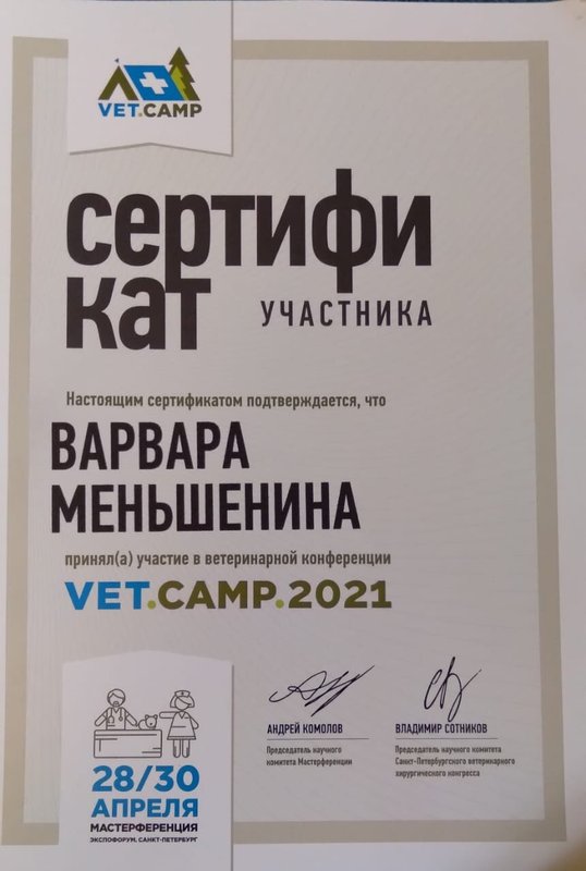 Документ или сертификат